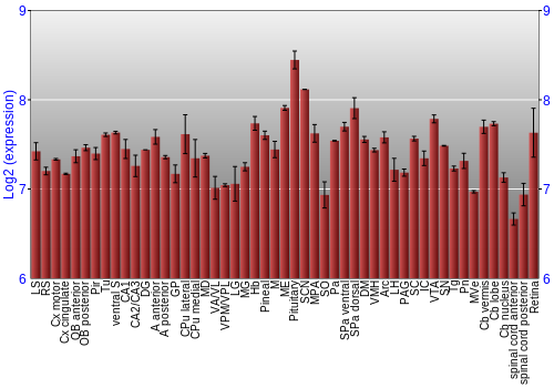 Expression graph