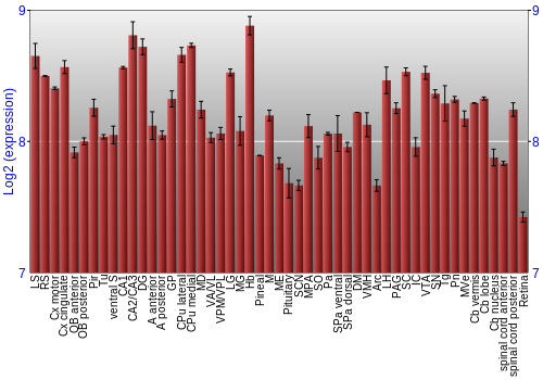 Expression graph