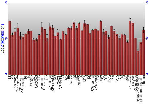 Expression graph