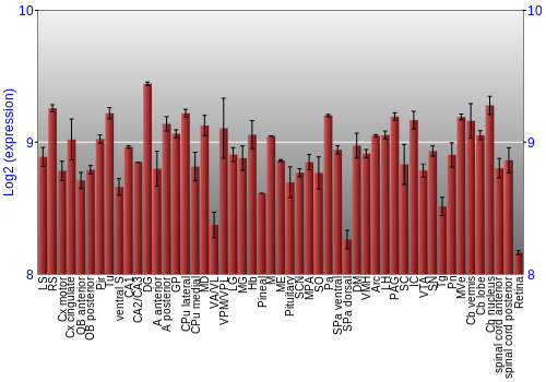 Expression graph