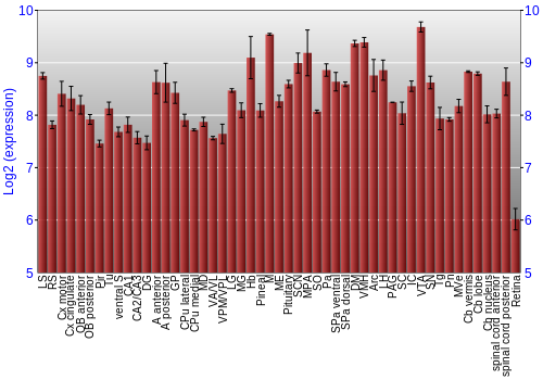 Expression graph
