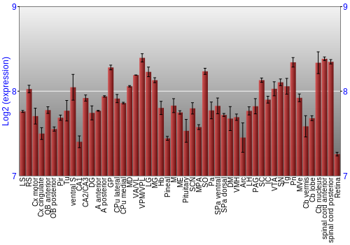Expression graph
