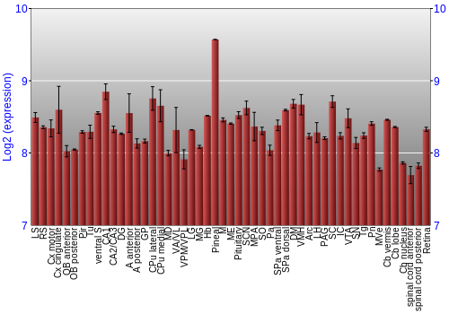 Expression graph