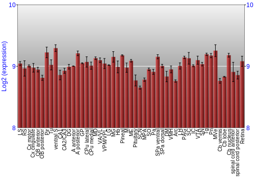 Expression graph