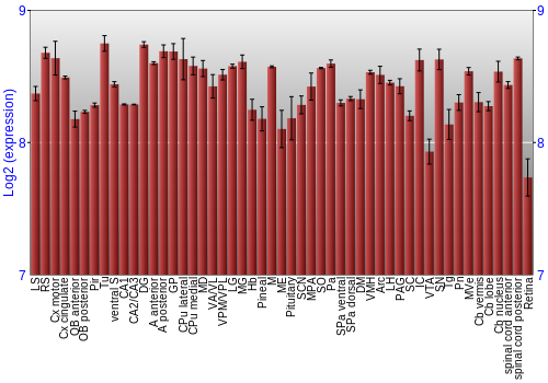 Expression graph