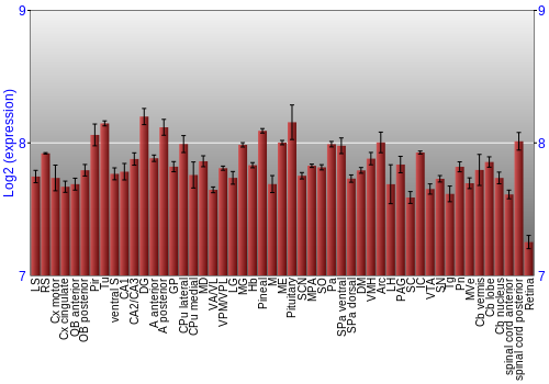 Expression graph