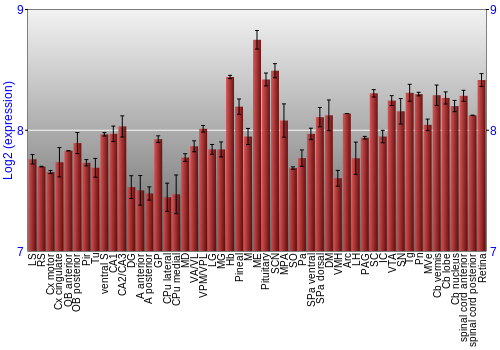 Expression graph