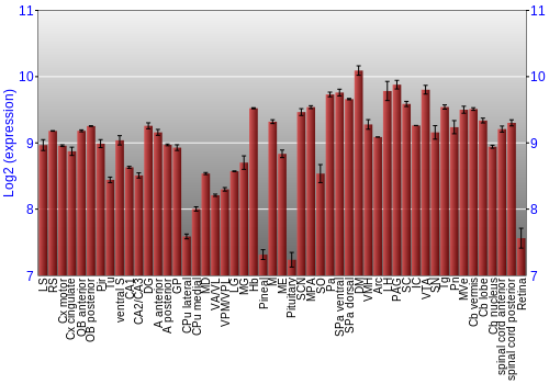 Expression graph