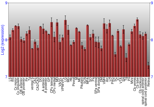 Expression graph