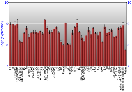 Expression graph