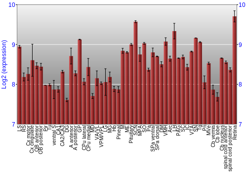 Expression graph