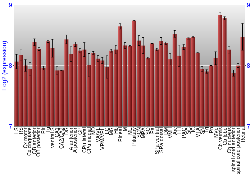 Expression graph