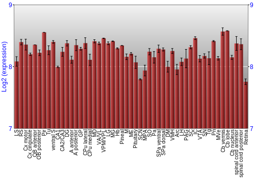 Expression graph