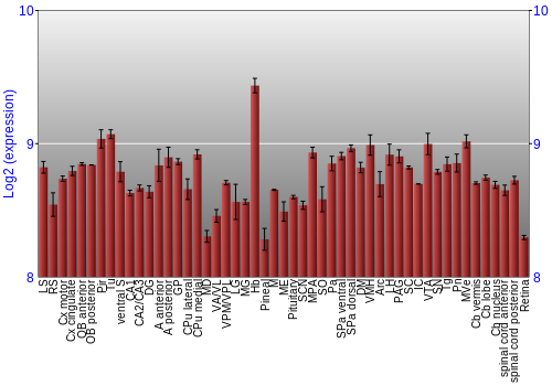Expression graph