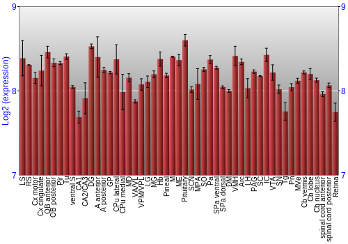Expression graph