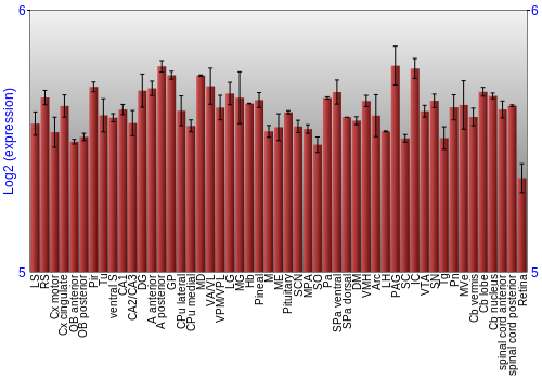 Expression graph
