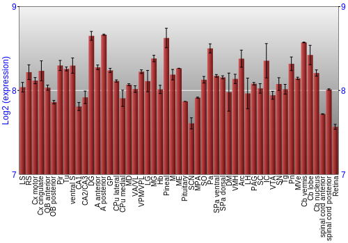 Expression graph