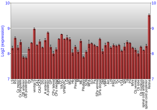 Expression graph