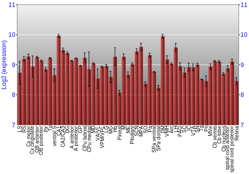 Expression graph