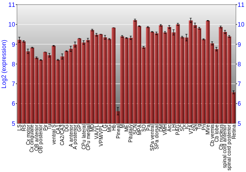 Expression graph